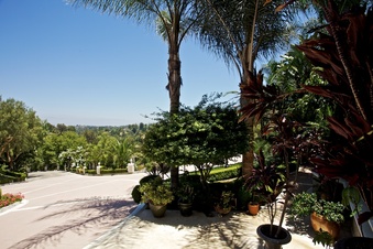 Enlarge photo 155