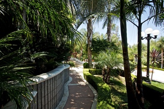 Enlarge photo 157