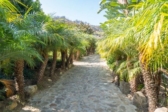 Enlarge photo 103
