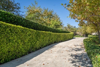 Enlarge photo 114