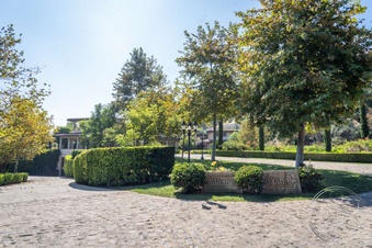 Enlarge photo 115