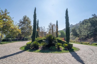 Enlarge photo 118