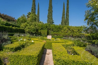 Enlarge photo 8