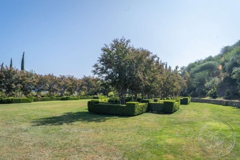 Enlarge photo 94