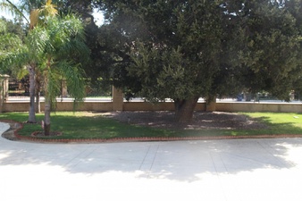 Enlarge photo 47