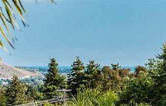 Enlarge photo 64
