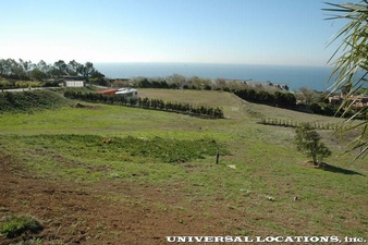 Enlarge photo 92
