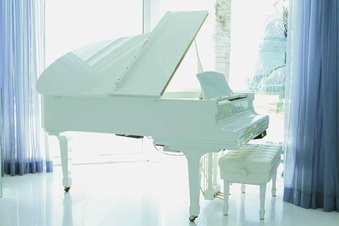 Enlarge photo 154