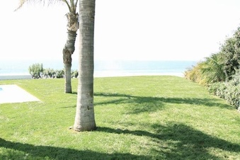 Enlarge photo 164