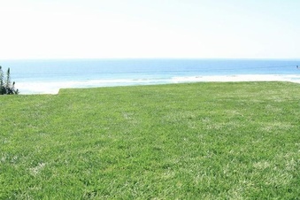Enlarge photo 166