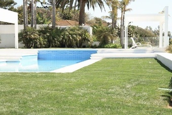 Enlarge photo 167