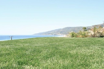 Enlarge photo 169