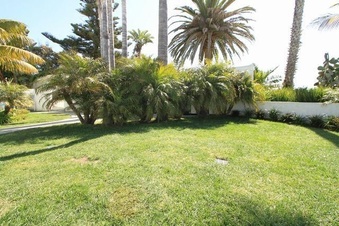 Enlarge photo 63