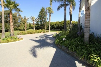 Enlarge photo 84