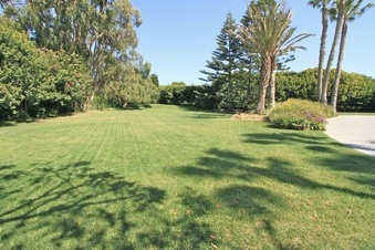 Enlarge photo 91
