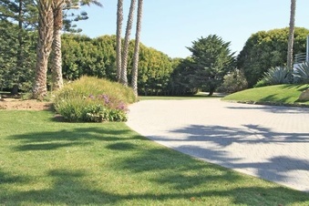 Enlarge photo 93