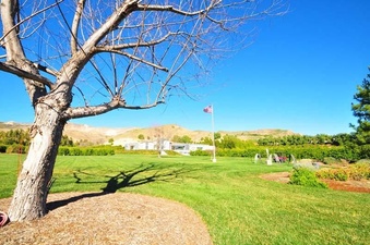 Enlarge photo 109