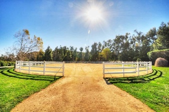 Enlarge photo 114