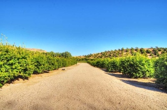 Enlarge photo 116