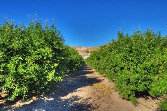 Enlarge photo 120