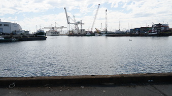 Enlarge photo 14