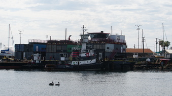 Enlarge photo 18