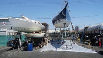 Enlarge photo 15