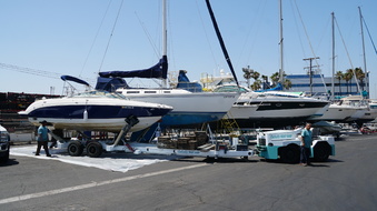 Enlarge photo 31