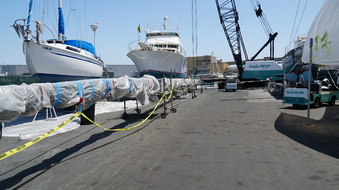 Enlarge photo 42