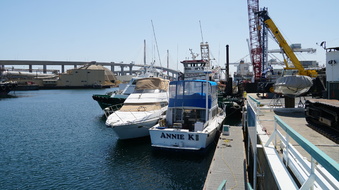 Enlarge photo 59