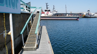Enlarge photo 61