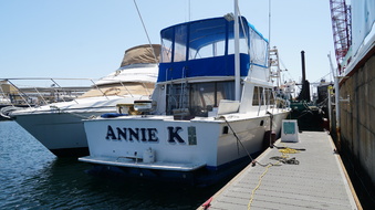 Enlarge photo 62