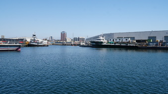 Enlarge photo 63