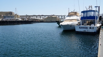 Enlarge photo 66