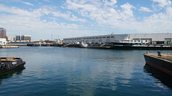 Enlarge photo 61
