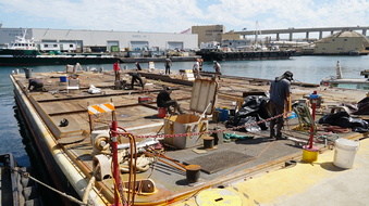 Enlarge photo 62