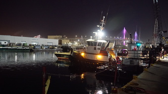 Enlarge photo 135