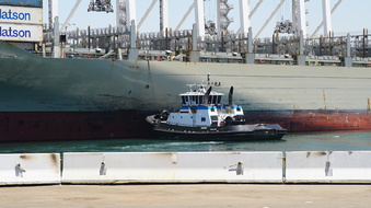 Enlarge photo 21
