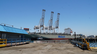 Enlarge photo 41