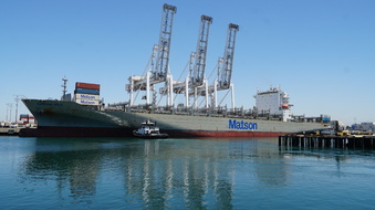 Enlarge photo 44
