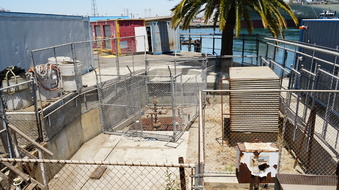 Enlarge photo 62