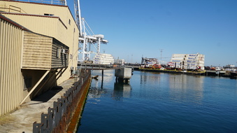 Enlarge photo 83