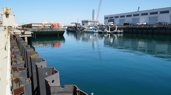 Enlarge photo 206