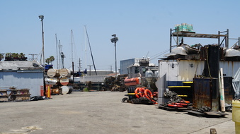 Enlarge photo 23