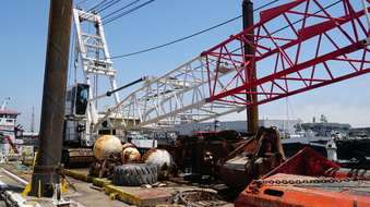 Enlarge photo 42