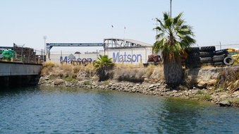 Enlarge photo 81