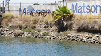 Enlarge photo 82