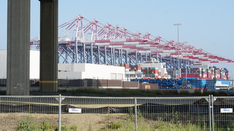 Enlarge photo 35