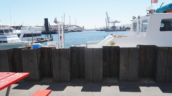 Enlarge photo 15