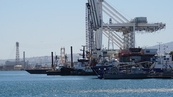 Enlarge photo 23